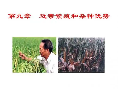 最新文档-普通遗传学第九章 近亲繁殖和杂种优势-PPT精品文档