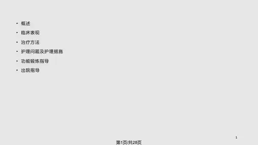 腰椎骨折的术后护理PPT课件