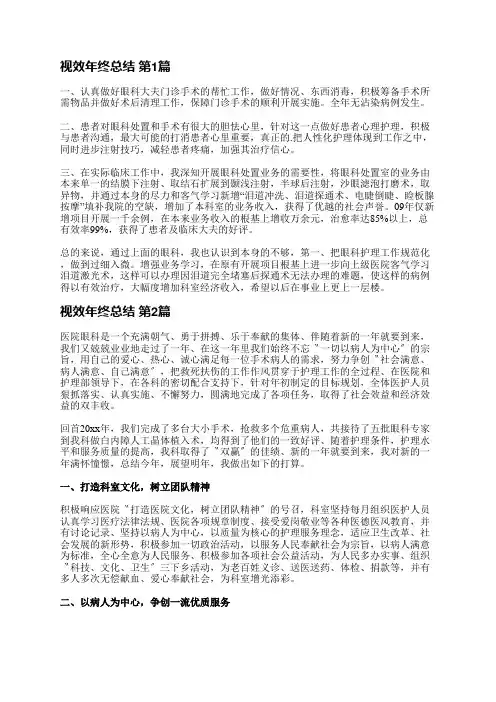 视效年终总结(精选19篇)