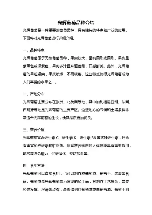 光辉葡萄品种介绍