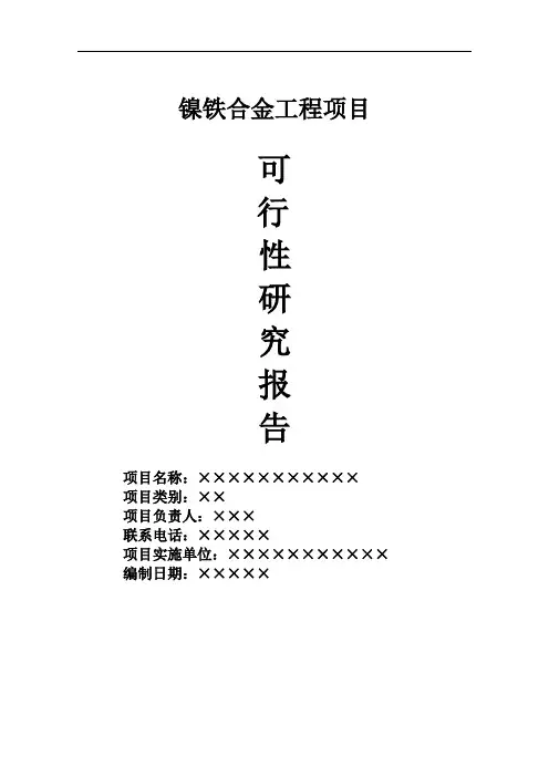 企业关于开发镍铁项目可行性研究报告