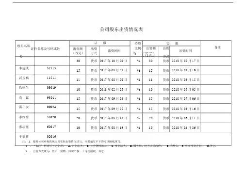 公司股东出资情况表--实用.docx