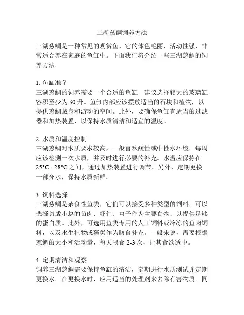 三湖慈鲷饲养方法