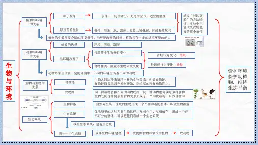 小学五年级下科学课第一单元知识导图
