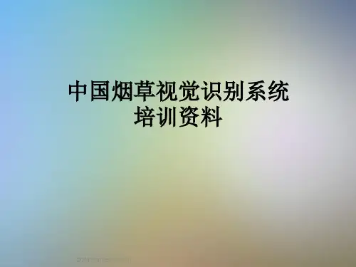 中国烟草视觉识别系统培训资料