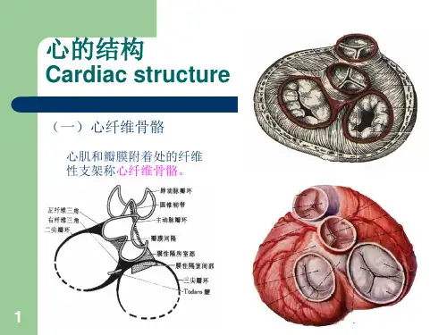 心脏粘液瘤医学PPT课件