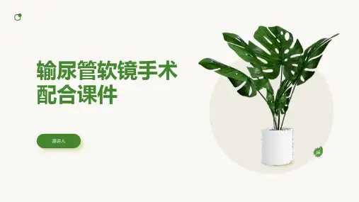 输尿管软镜手术配合课件