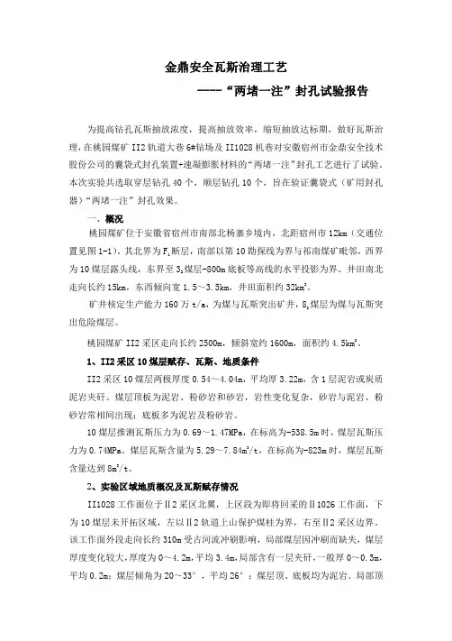 “两堵一注”封孔工艺实验报告