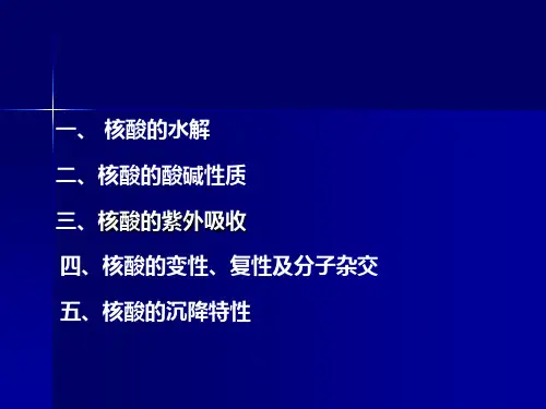核酸性质