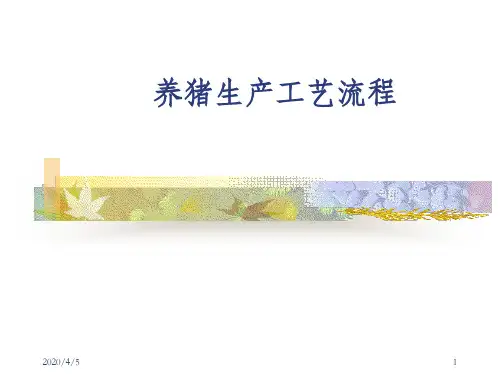 猪生产学_养猪生产工艺流程图