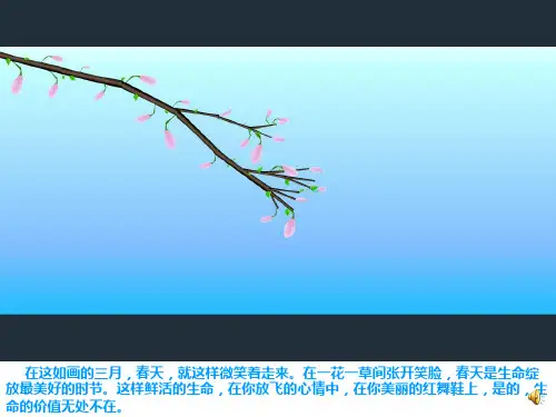 生命生命说课PPT课件