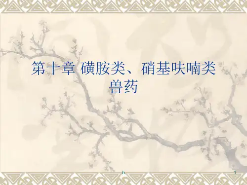 《磺胺类PPTX页》PPT课件