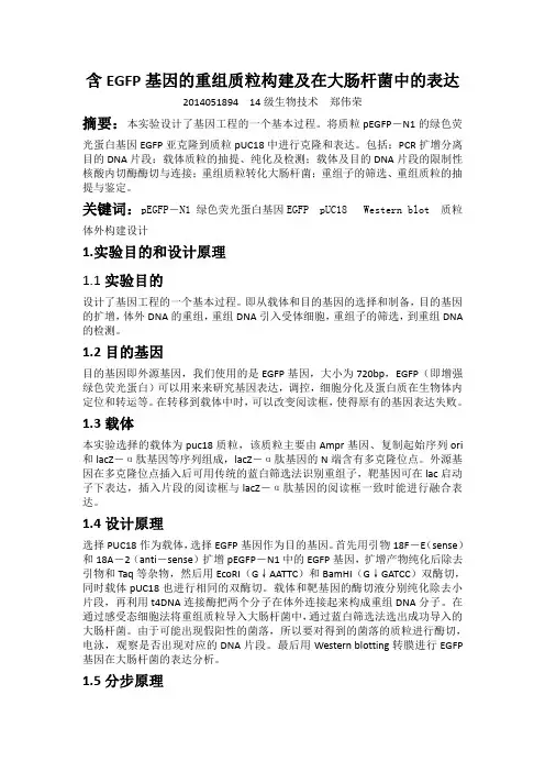 分子生物学——精选推荐
