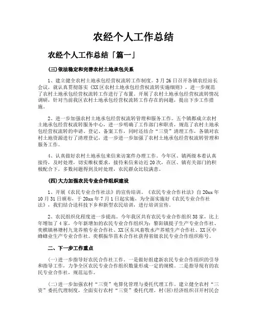 农经个人工作总结