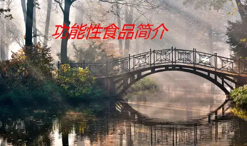 功能性食品简介