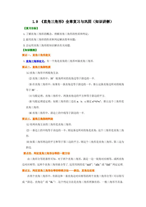 专题1-9 《直角三角形》全章复习与巩固(知识讲解)-八年级数学下册(湘教版)