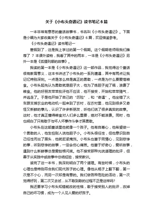 关于《小布头奇遇记》读书笔记6篇