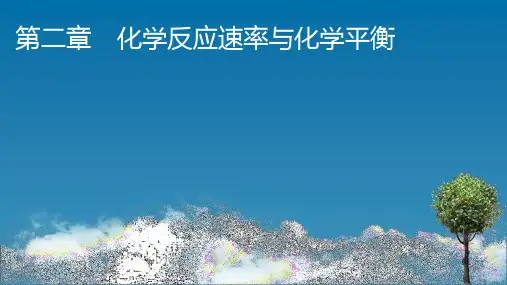 人教版高中化学选择性必修第1册 第2章 化学反应速率与化学平衡 第1节 第1课时