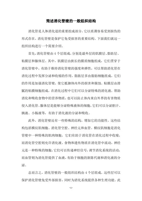 简述消化管壁的一般组织结构