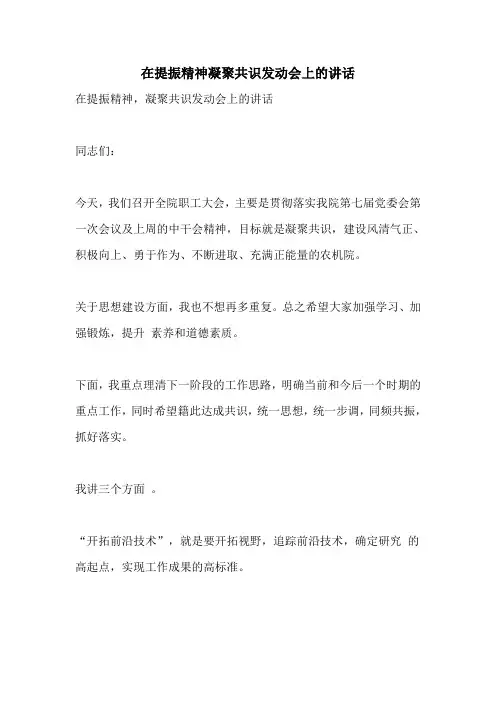 在提振精神凝聚共识动员会上的讲话
