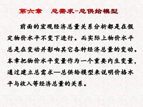宏观经济学第6章 总需求-总供给模型