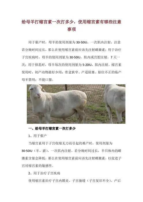 给母羊打缩宫素一次打多少,使用缩宫素有哪些注意事项