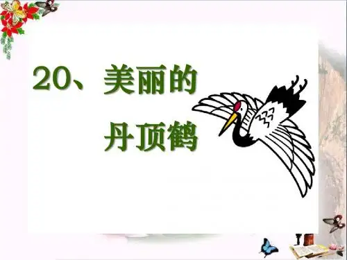 《美丽的丹顶鹤》 精品PPT课件4(共33张)