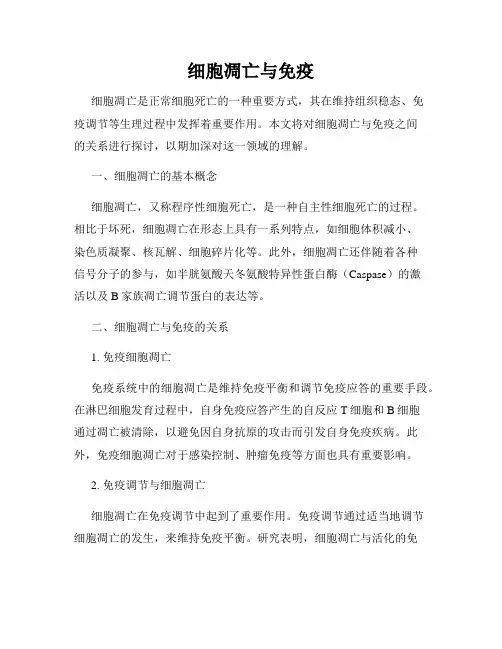 细胞凋亡与免疫