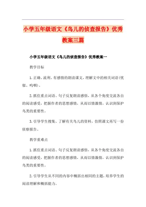 小学五年级语文《鸟儿的侦查报告》优秀教案三篇