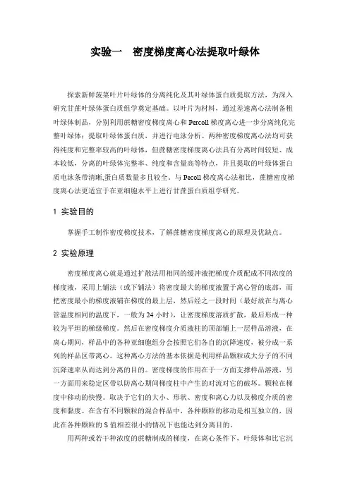 生化大实验——精选推荐