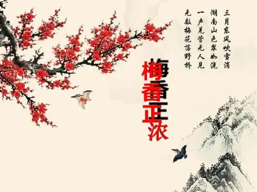 梅香正浓PPT