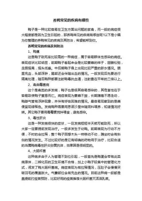 养鸭常见的疾病有哪些