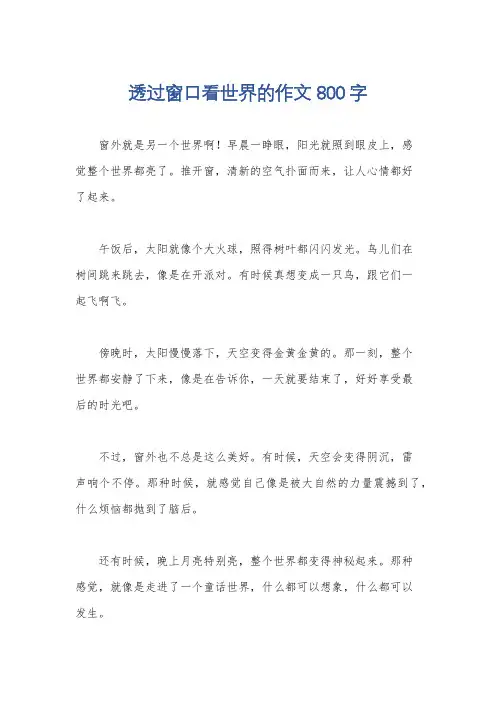 透过窗口看世界的作文800字