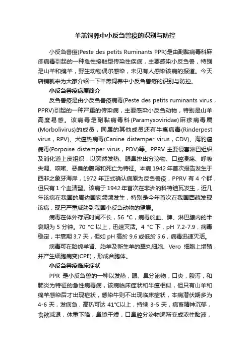 羊羔饲养中小反刍兽疫的识别与防控