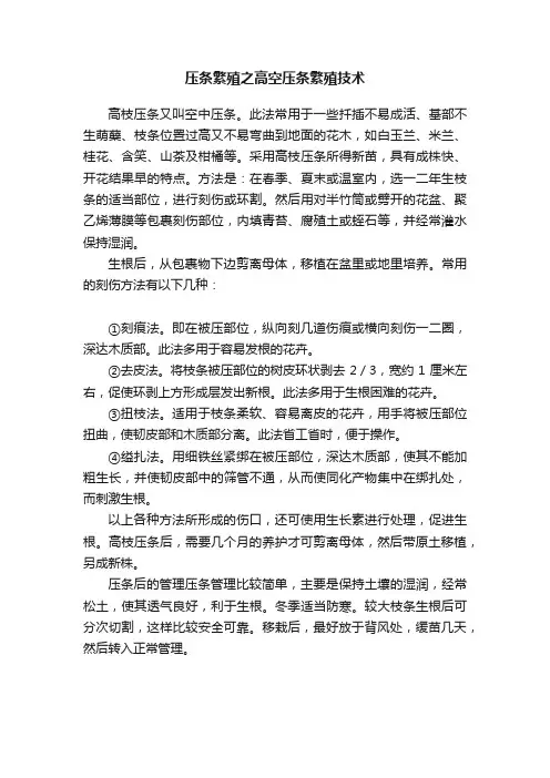压条繁殖之高空压条繁殖技术