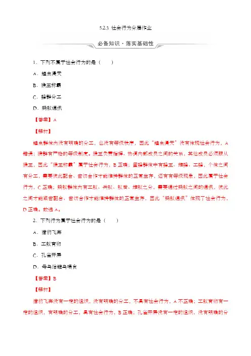 5.2.3 社会行为(分层作业) 八年级上册生物同步备课系列(人教版)(解析版)