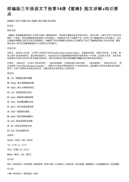 部编版三年级语文下册第14课《蜜蜂》图文讲解+知识要点