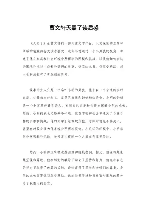 曹文轩天黑了读后感