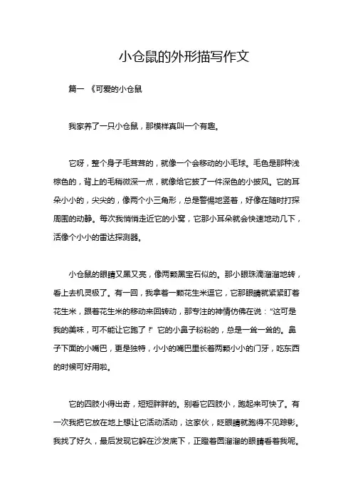 小仓鼠的外形描写作文