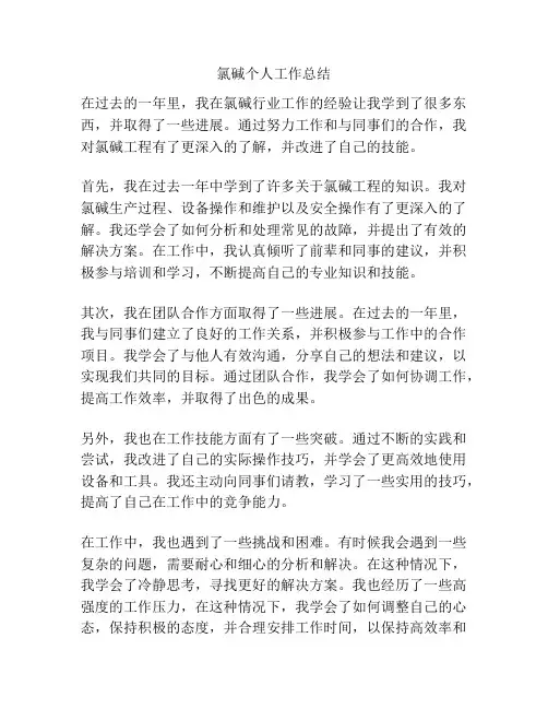 氯碱个人工作总结
