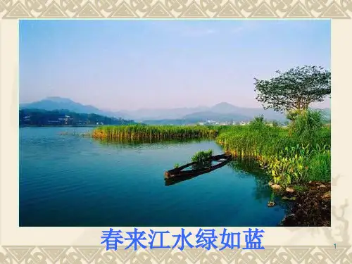 生物102《水中的藻类植物》(苏科版七年级下)PPT课件