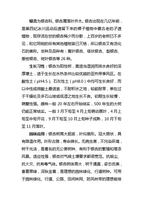 银杏相关资料