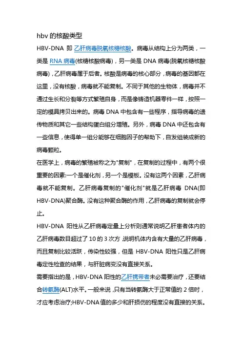 hbv的核酸类型