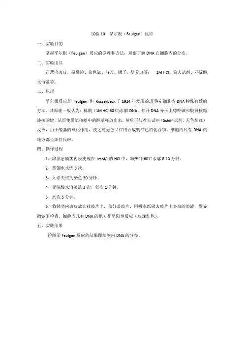 实验10  DNA孚尔根染色