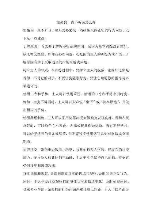 如果狗一直不听话怎么办