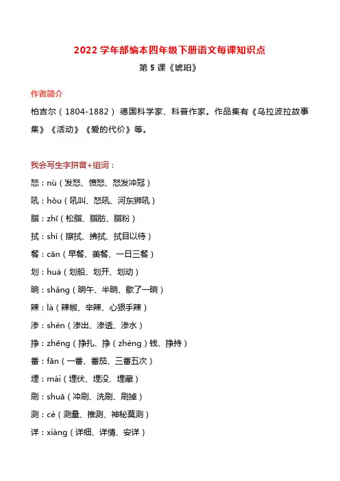 第5课《琥珀》知识点