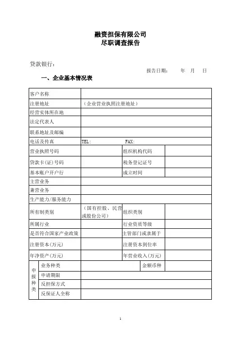 担保项目尽职调查报告模板