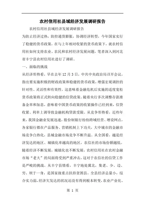 农村信用社县域经济发展调研报告--word范文资料