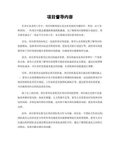 项目督导内容