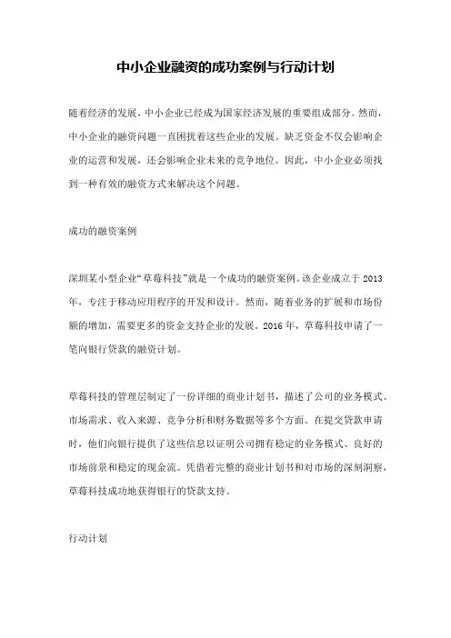 中小企业融资的成功案例与行动计划